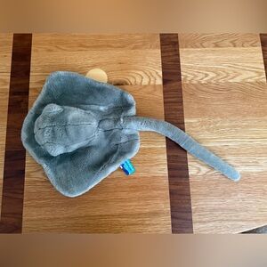 Newport Aquarium sting ray